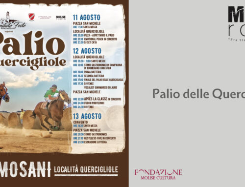 Il Palio delle Quercigliole, a Ripalimosani emozioni lungo il tratturo Lucera – Castel di Sangro